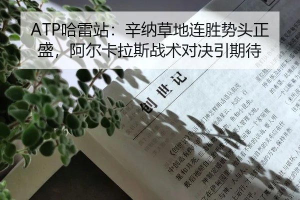 ha-lei-zhan-xin-na-cao-di-lian-sheng-shi-tou-zheng-sheng-a-er-ka-la-si-zhan-shu-dui-jue-yin-qi-dai-2-892.jpg